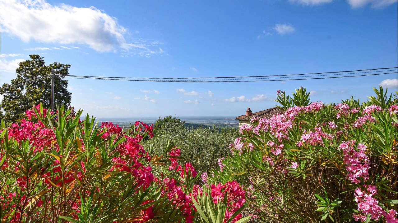 Photo of Outdoor in Corsanico-Bargecchia