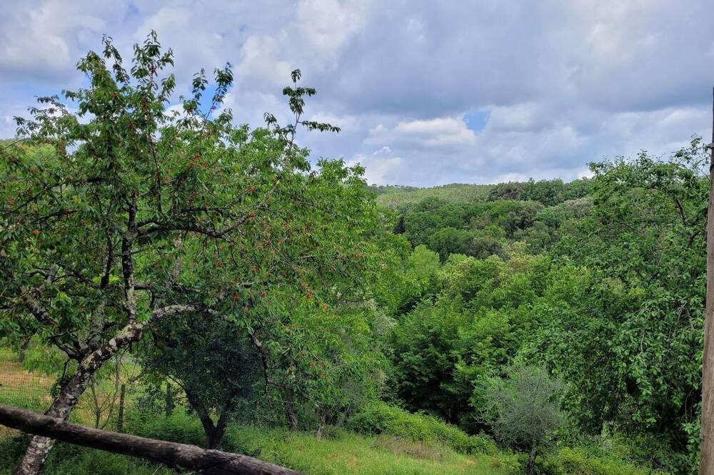 Photo of Others in Castello di Tocchi