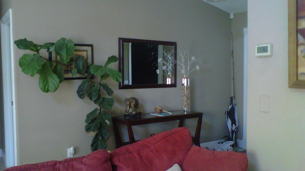 Photo of Livingroom in Orlando