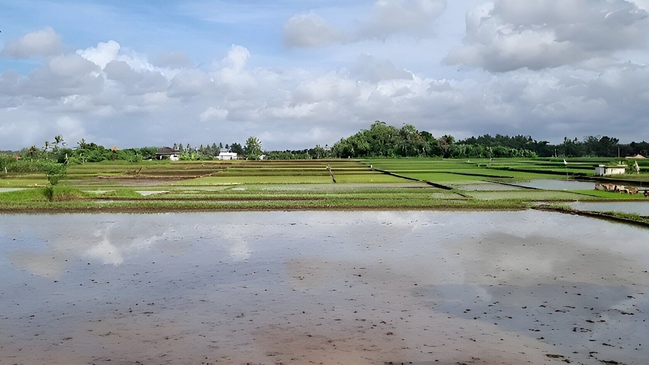 Photo of Outdoor in Negara