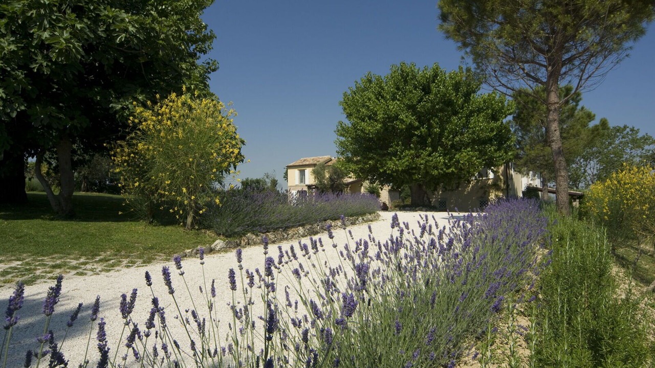 Photo of Outdoor in Numana