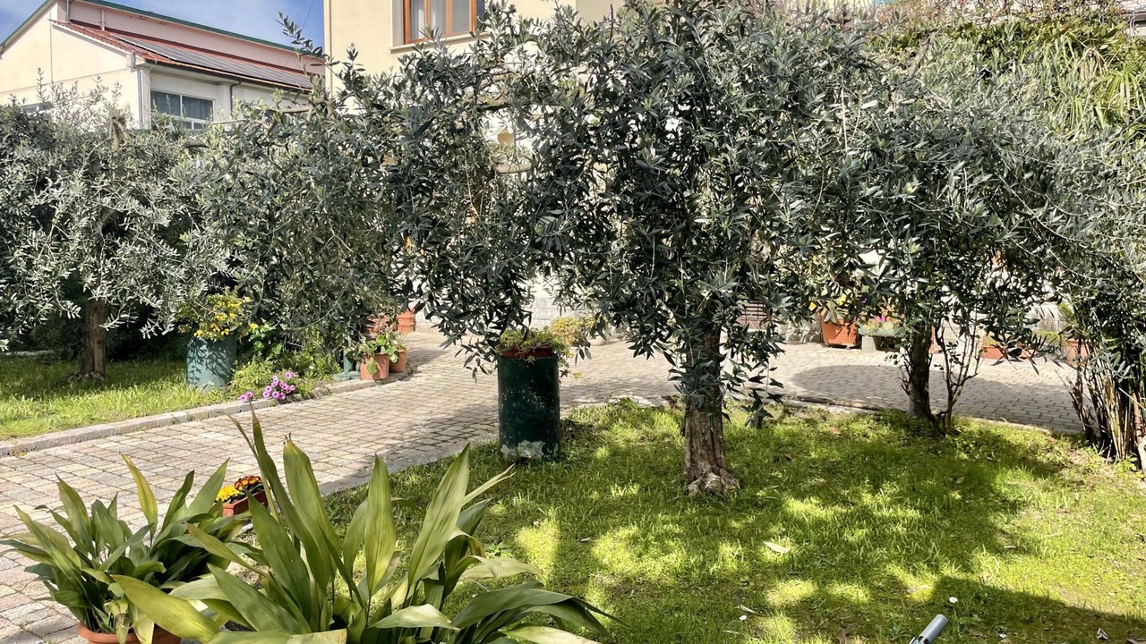 Photo of Others in Vecchiano