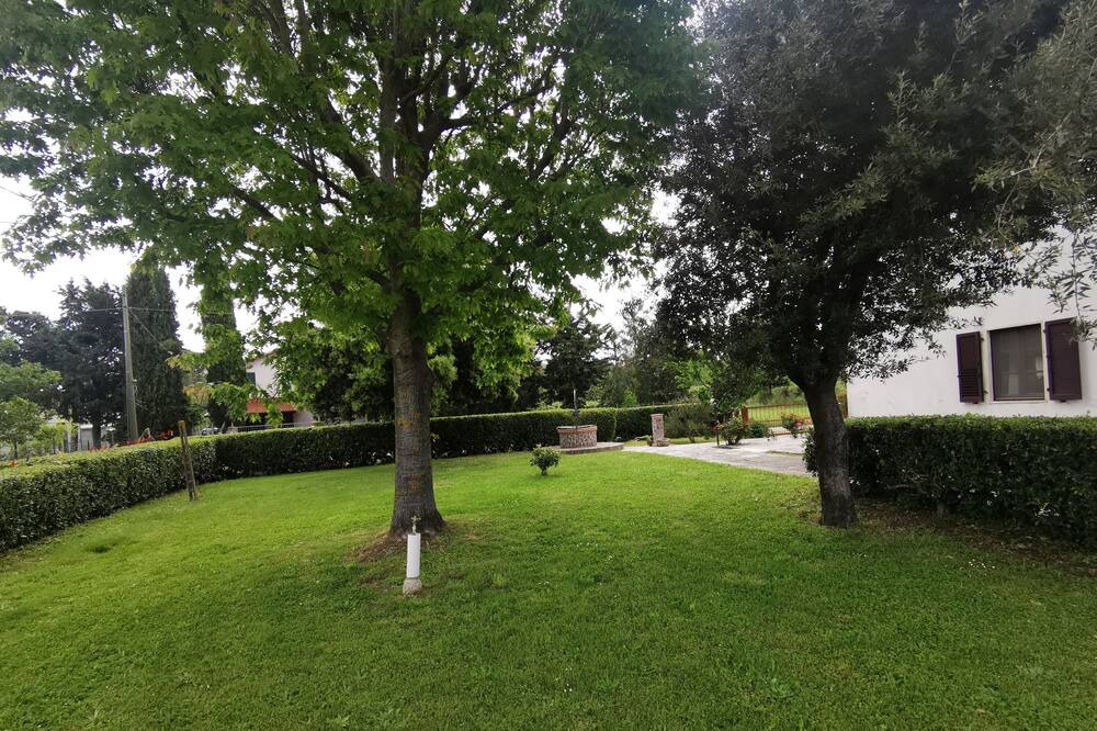 Photo of Outdoor in Roccastrada