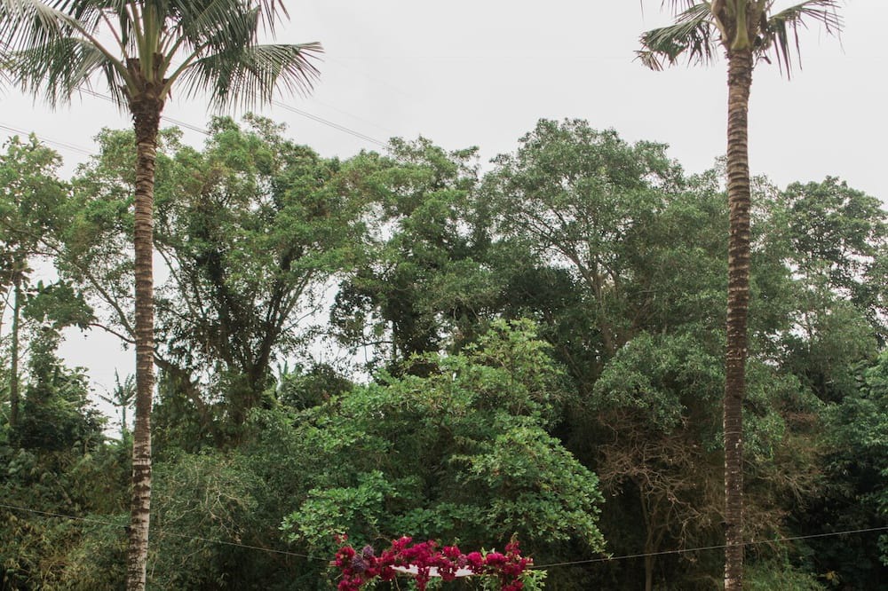 Photo of Others in Cepaka