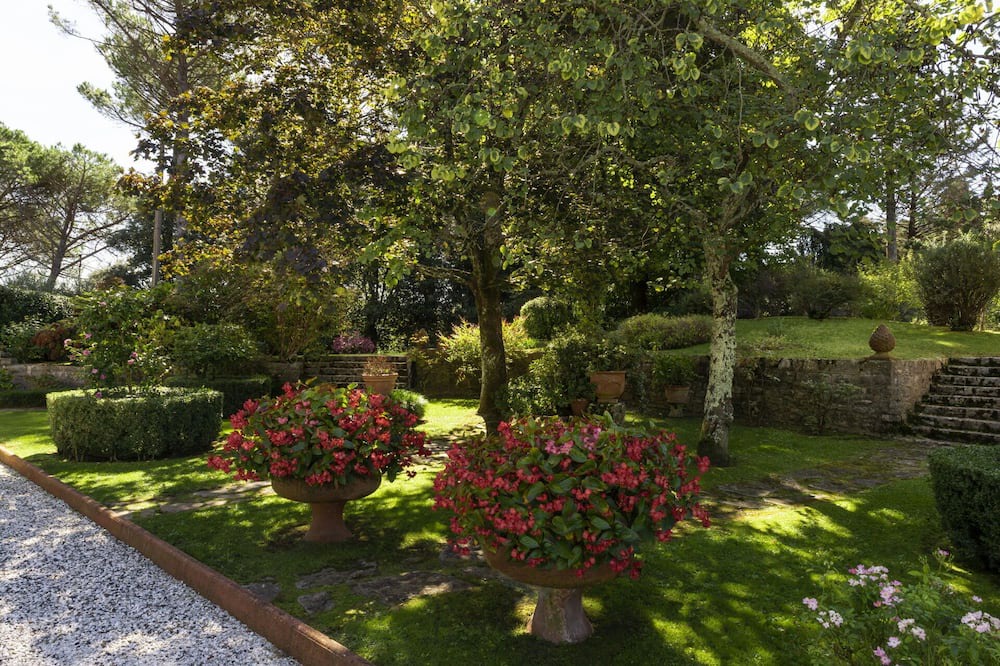 Photo of Outdoor in Camaiore
