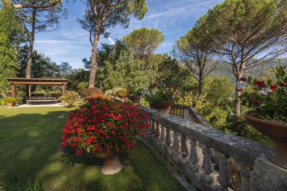 Photo of Outdoor in Camaiore
