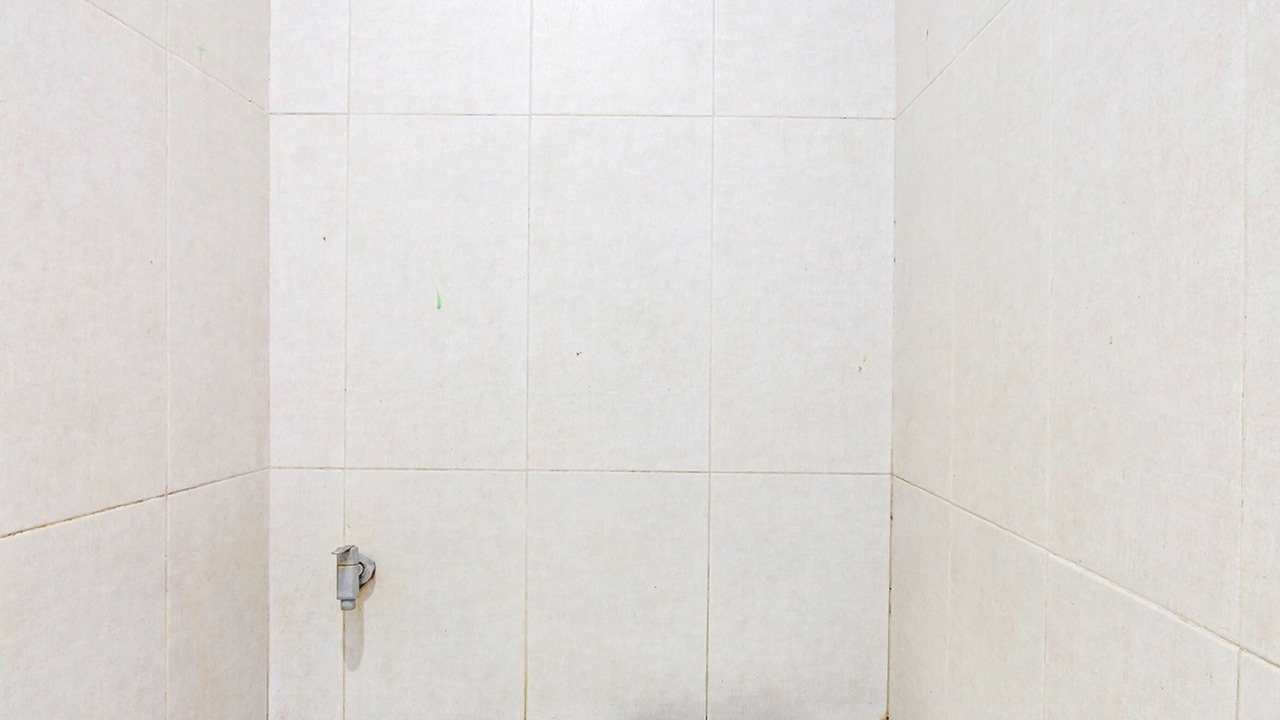 Photo of Bathroom in Mayong