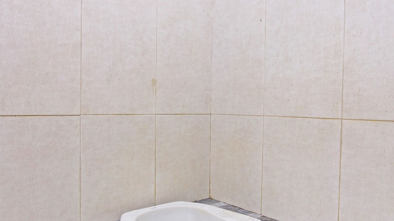 Photo of Bathroom in Mayong