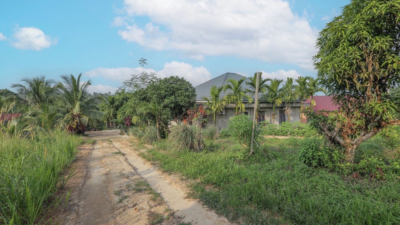 Photo of Outdoor in Jambi
