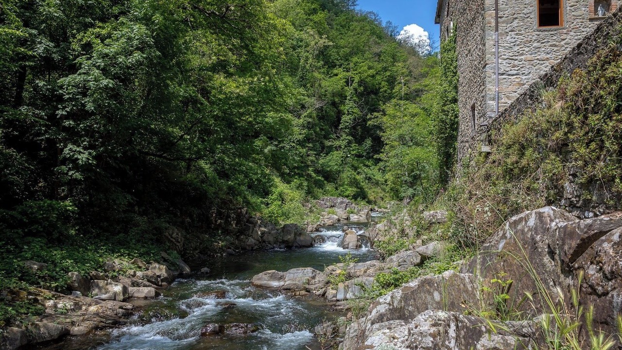 Photo of Outdoor in Pescia