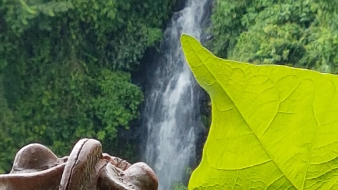 Photo of Outdoor in Sukasada