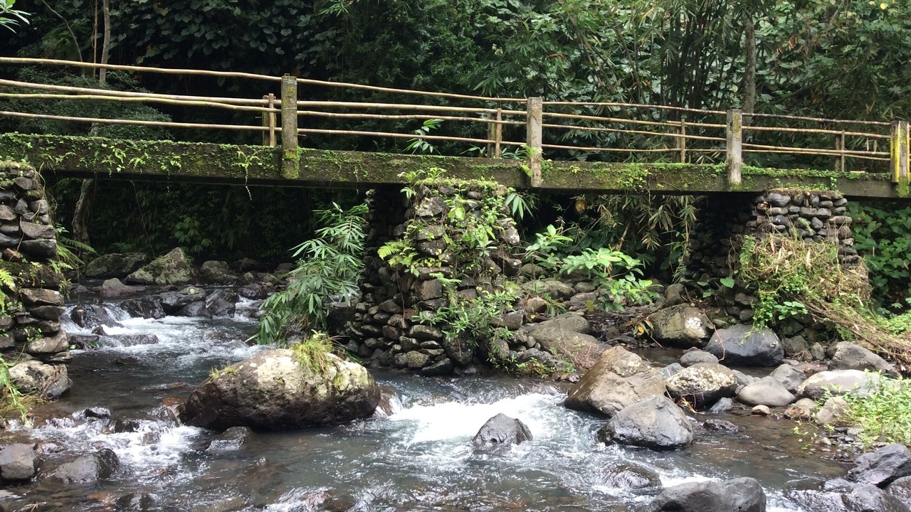 Photo of Outdoor in Sukasada