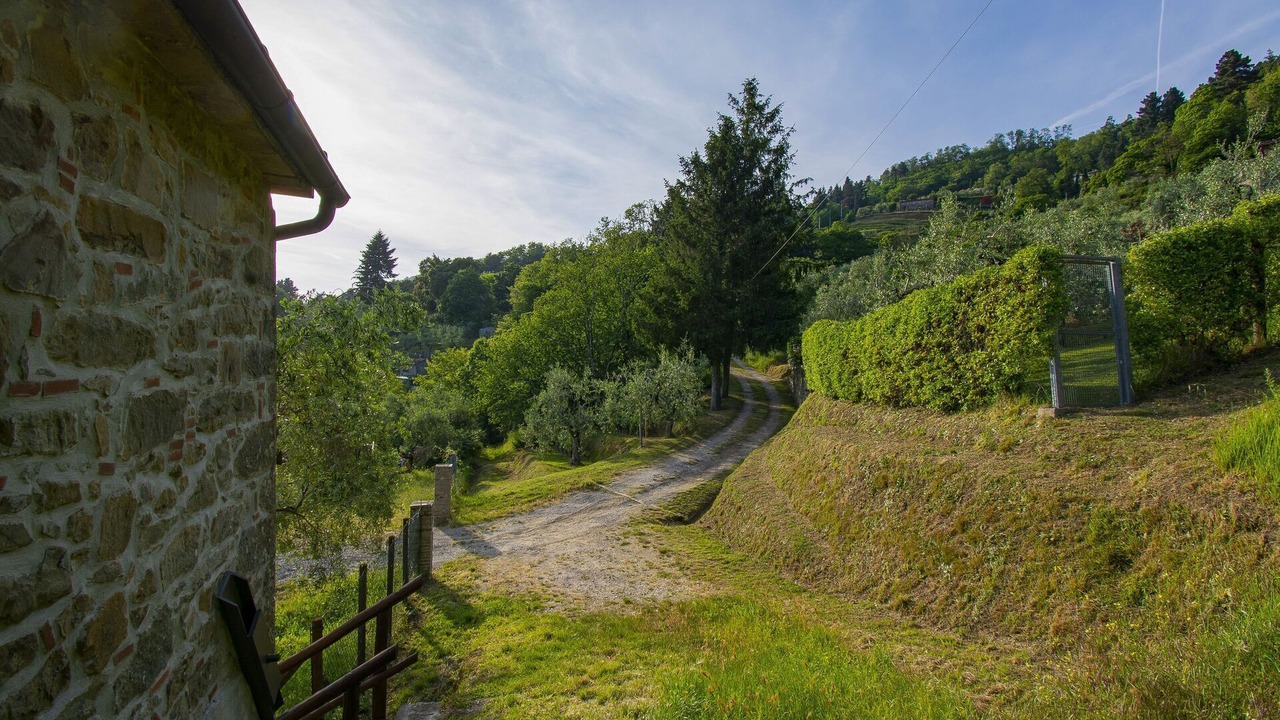 Photo of Outdoor in Petrognano