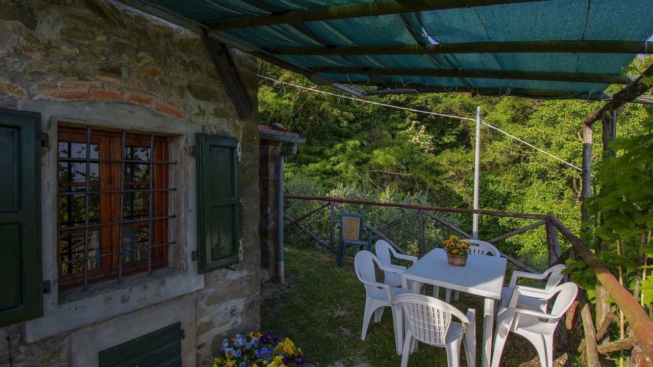 Photo of Outdoor in Petrognano