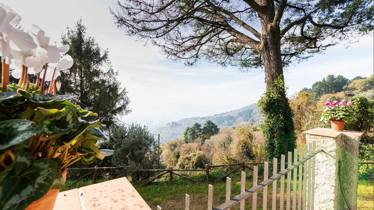 Photo of Outdoor in Petrognano