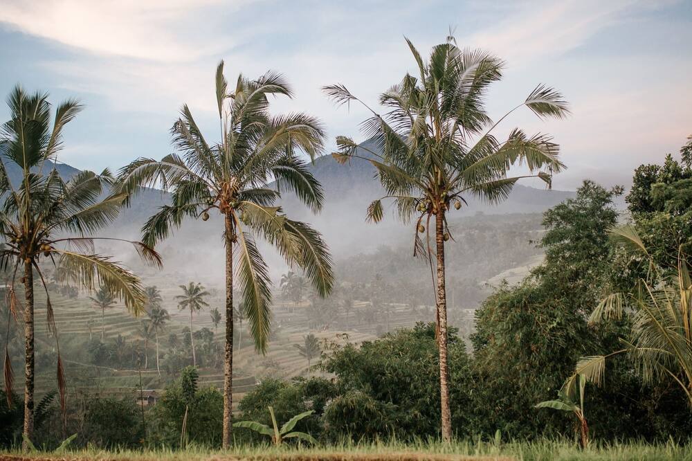 Photo of Outdoor in Pererenan