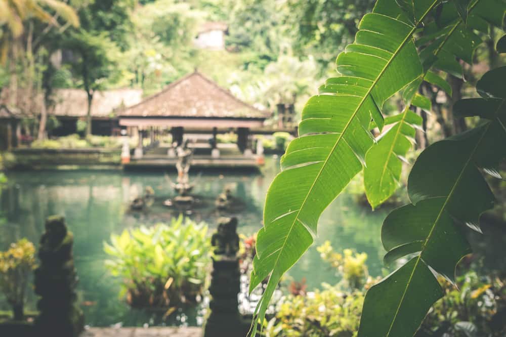 Photo of Outdoor in Pererenan
