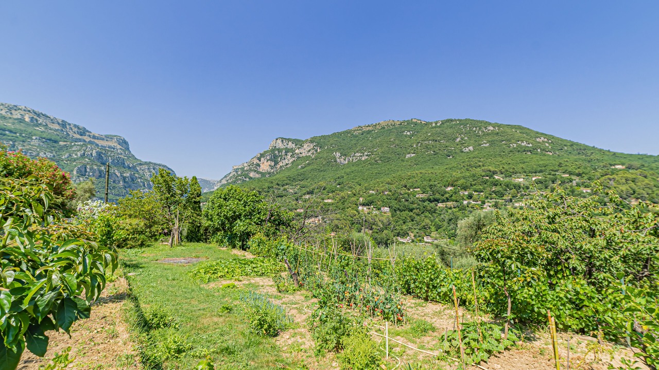 Photo of Outdoor in Le Bar-sur-Loup