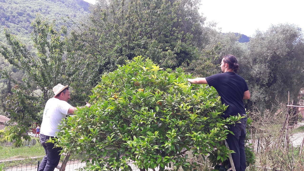 Photo of Outdoor in Le Bar-sur-Loup