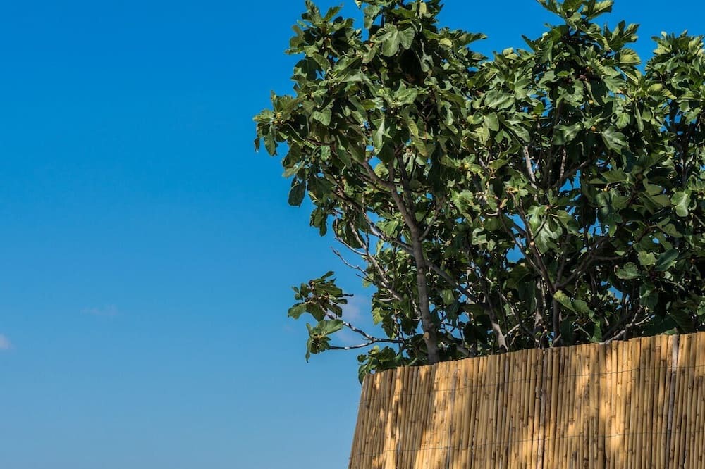 Photo of Outdoor in Akrotiri