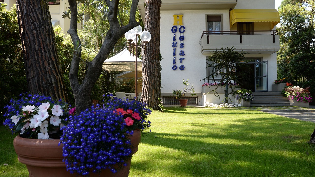 Photo of Outdoor in Cinquale