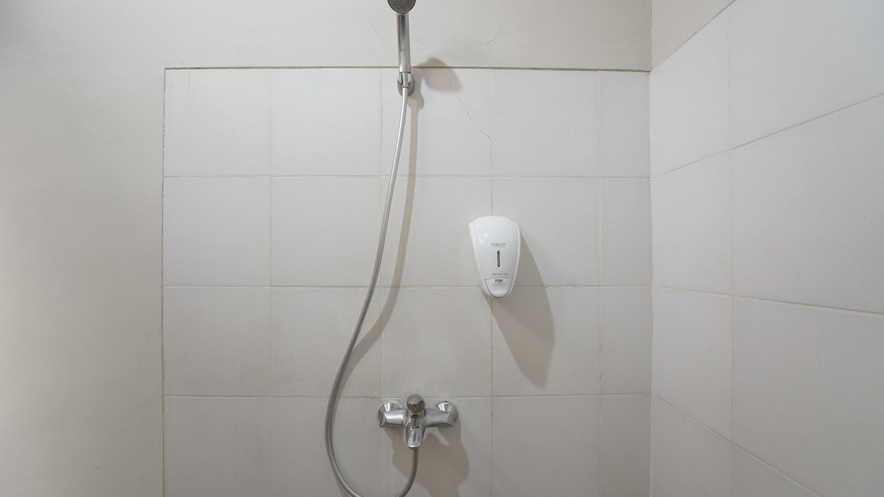 Photo of Bathroom in Panjer