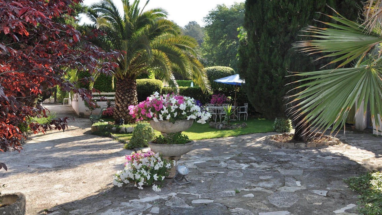 Photo of Outdoor in Mougins