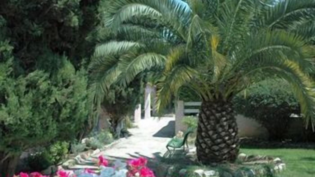 Photo of Outdoor in Mougins