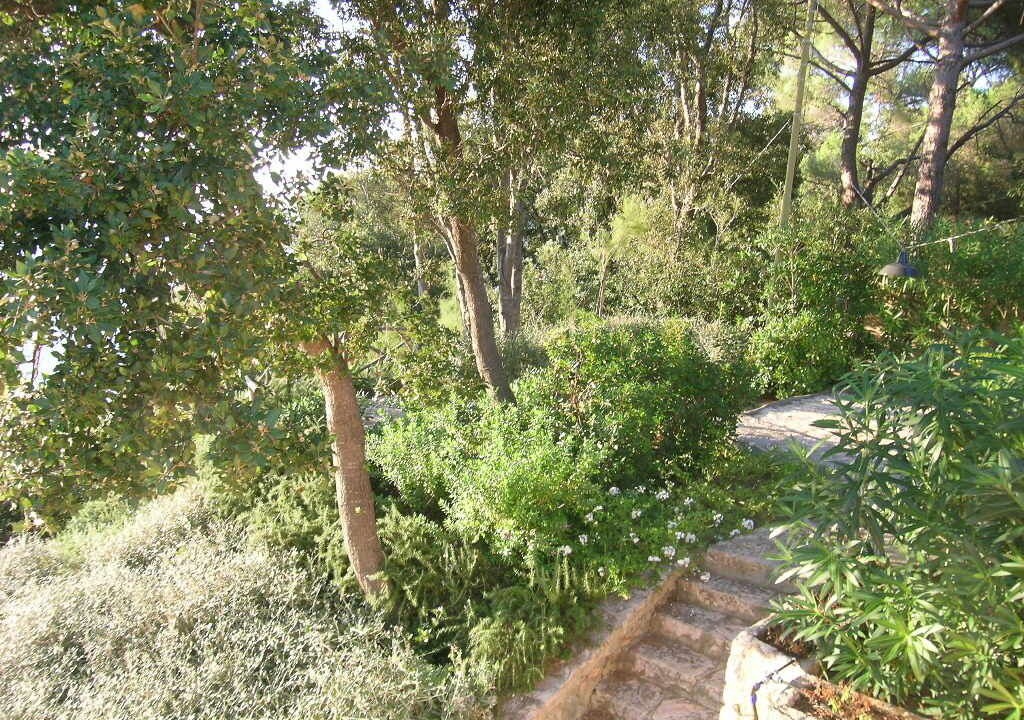 Photo of Outdoor in Procchio