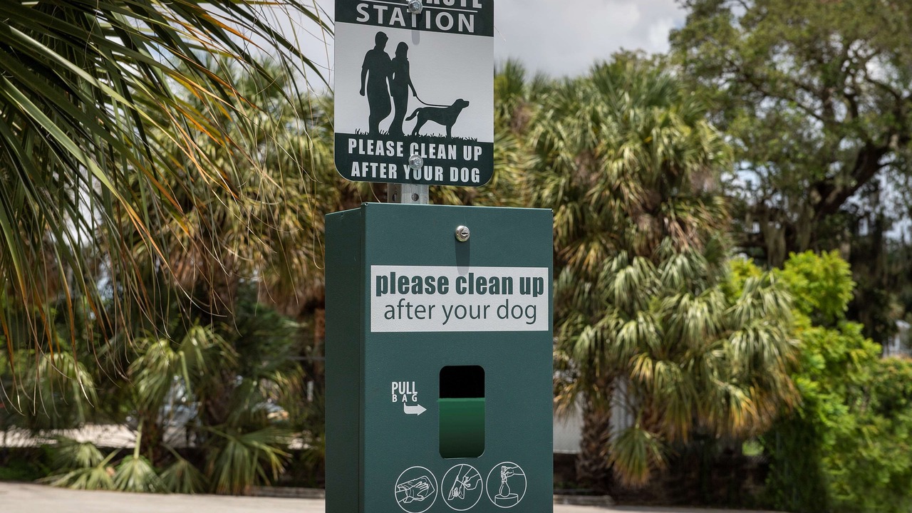 Photo of Outdoor in Lake Eola Heights