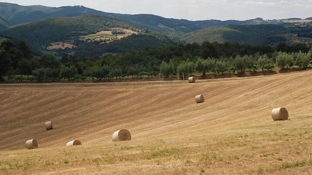 Photo of Others in Motina