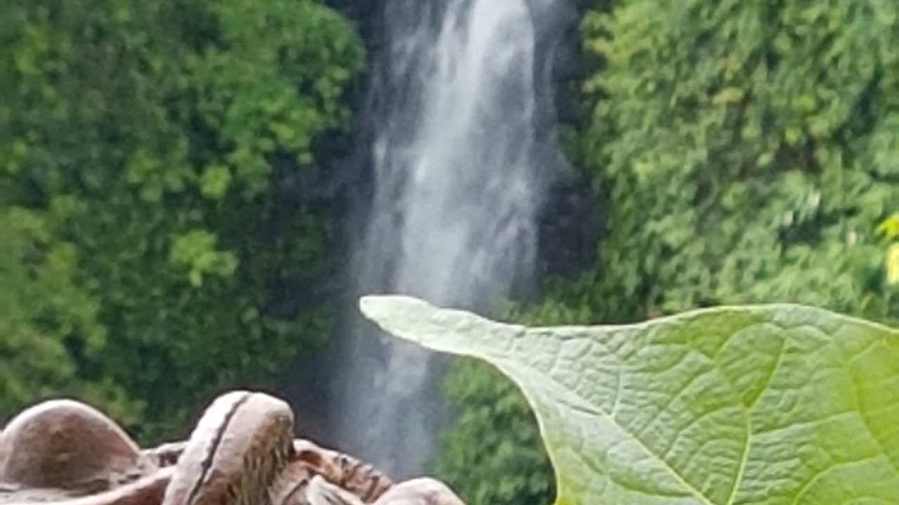 Photo of Outdoor in Sukasada