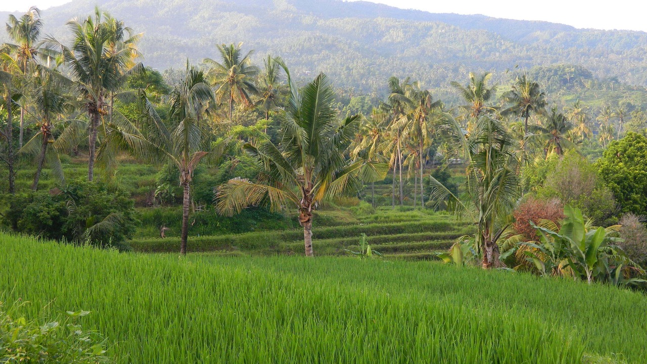 Photo of Outdoor in Sukasada