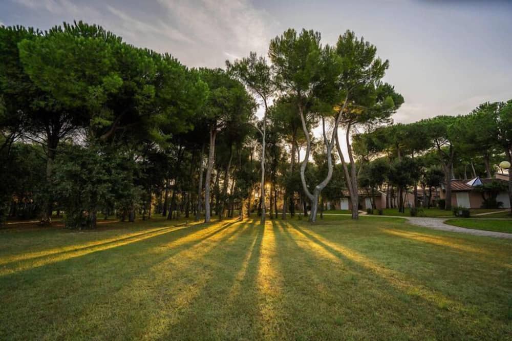 Photo of Outdoor in San Vincenzo