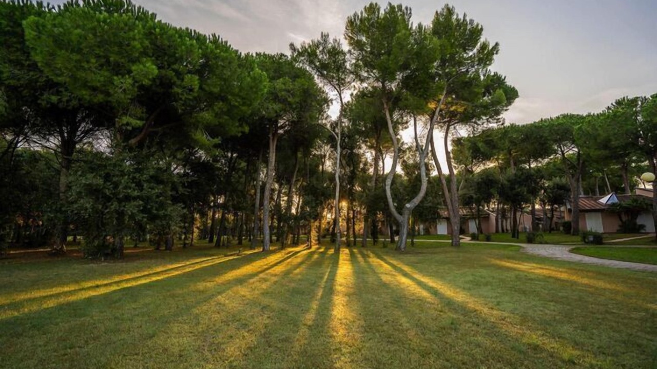 Photo of Outdoor in San Vincenzo