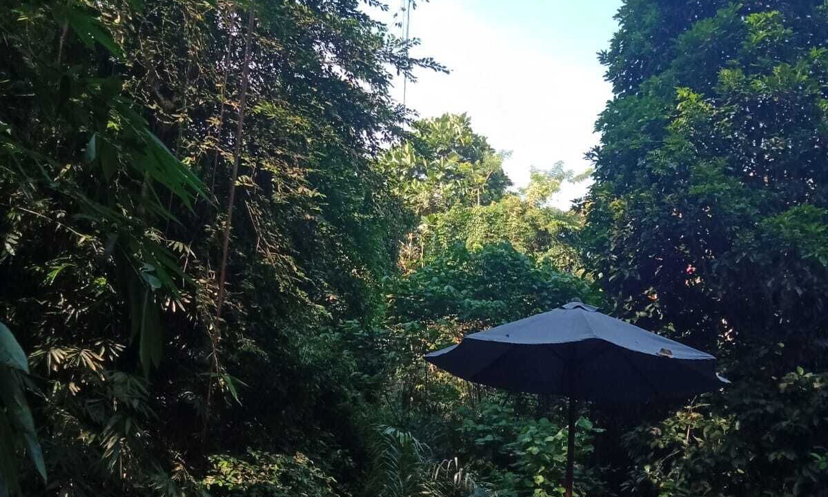 Photo of Outdoor in Penestanan