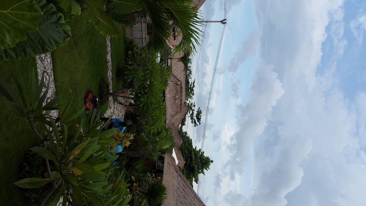 Photo of Others in Mushroom Bay