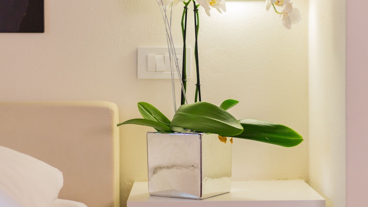Photo of Bedroom in Fosdinovo