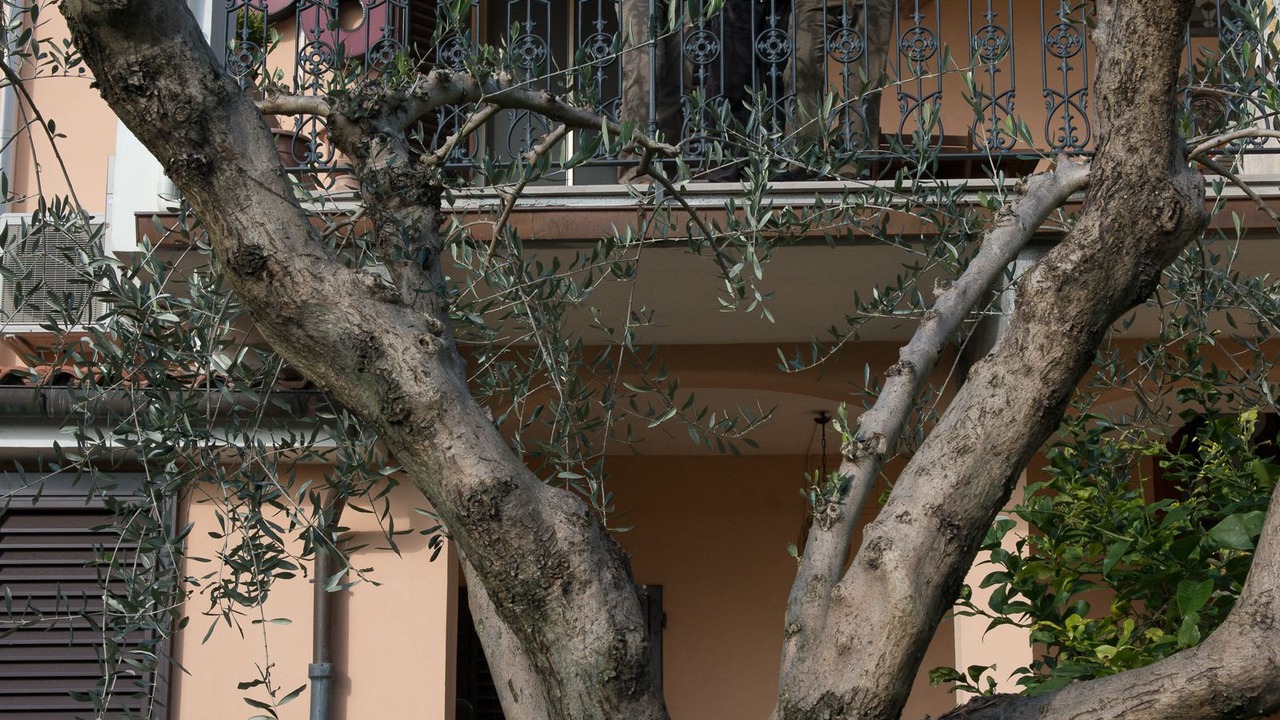 Photo of Outdoor in San Giuliano Terme