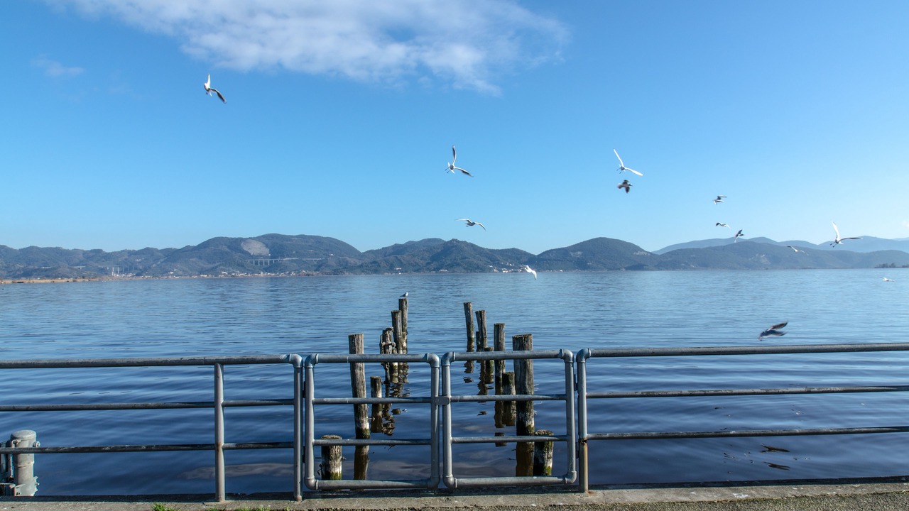 Photo of Outdoor in Torre del Lago Puccini