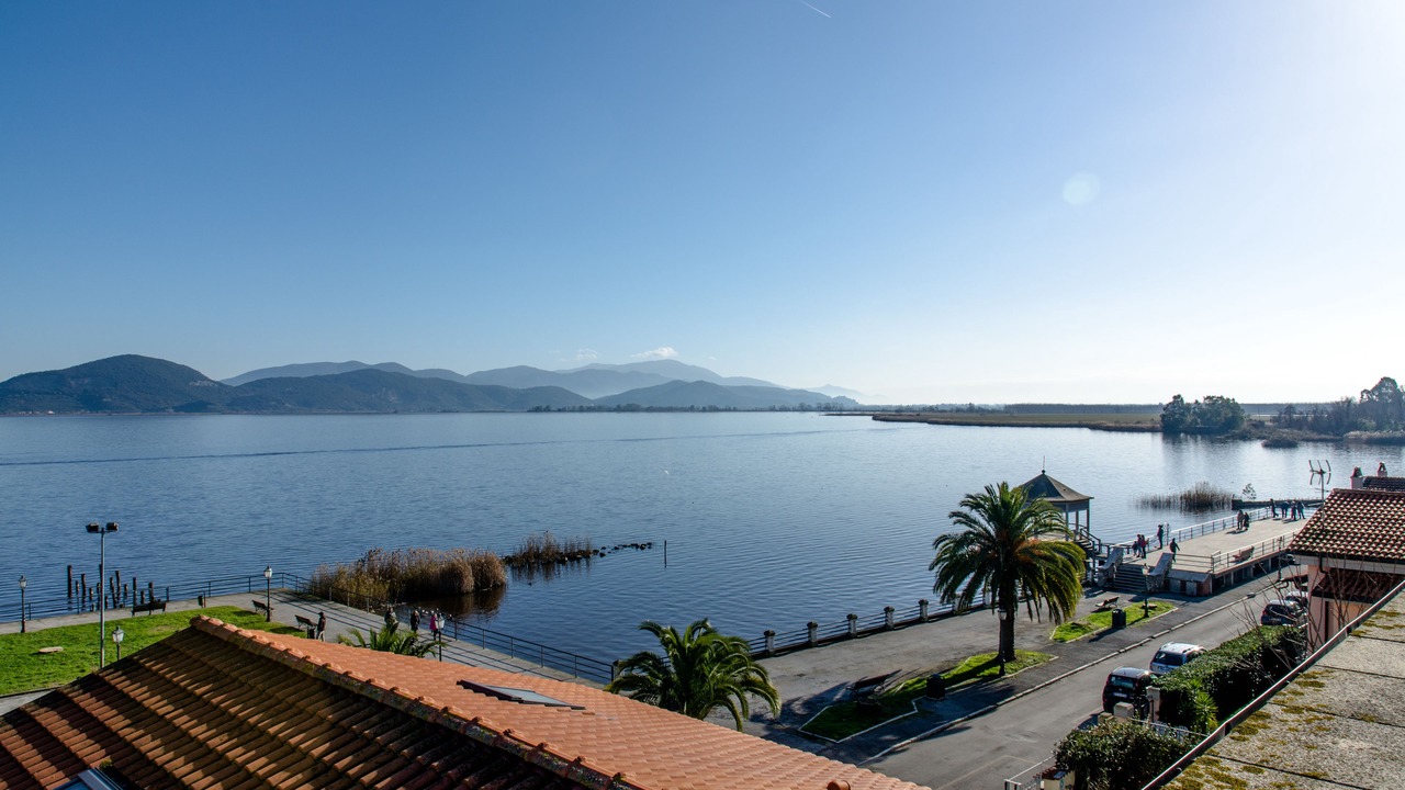 Photo of Others in Torre del Lago Puccini