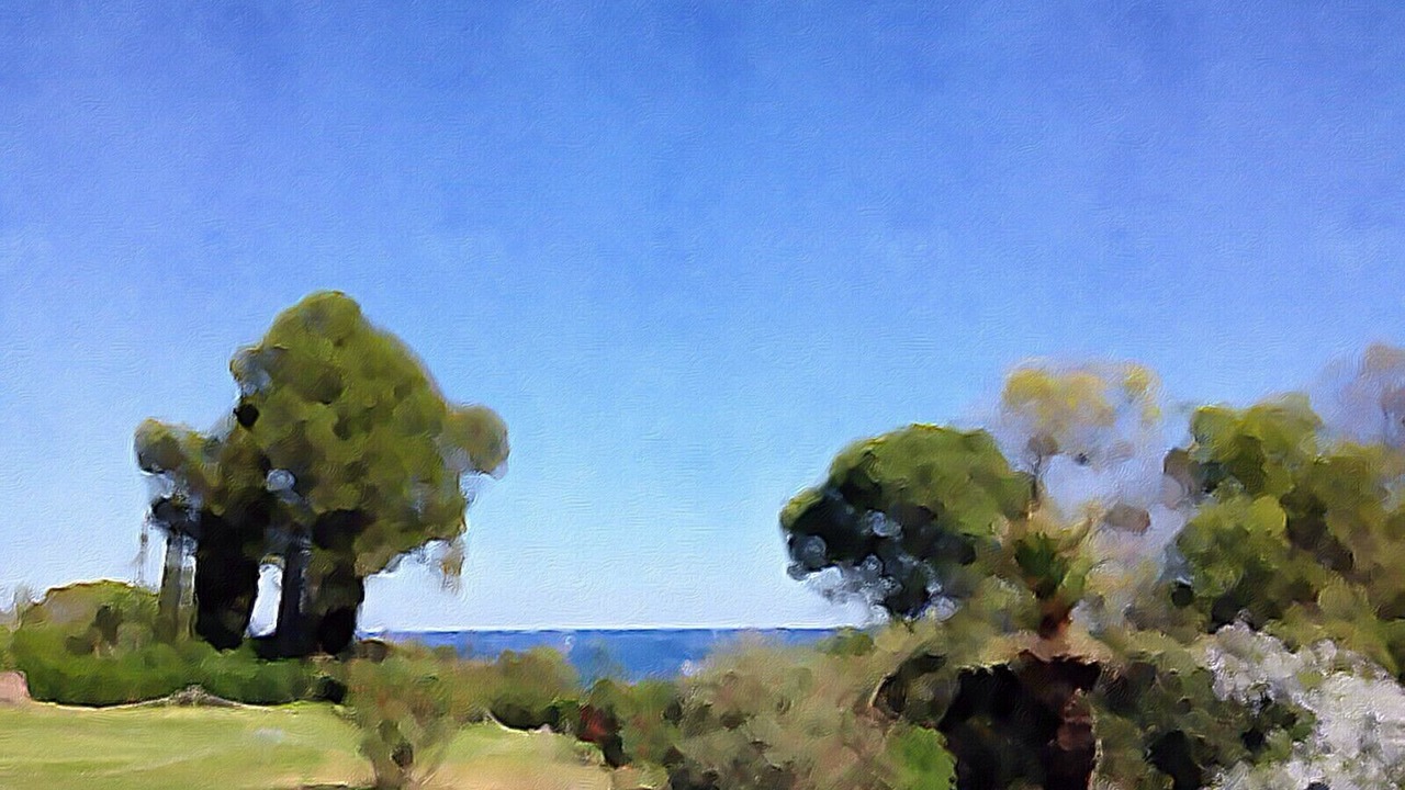 Photo of Others in Cap Esterel