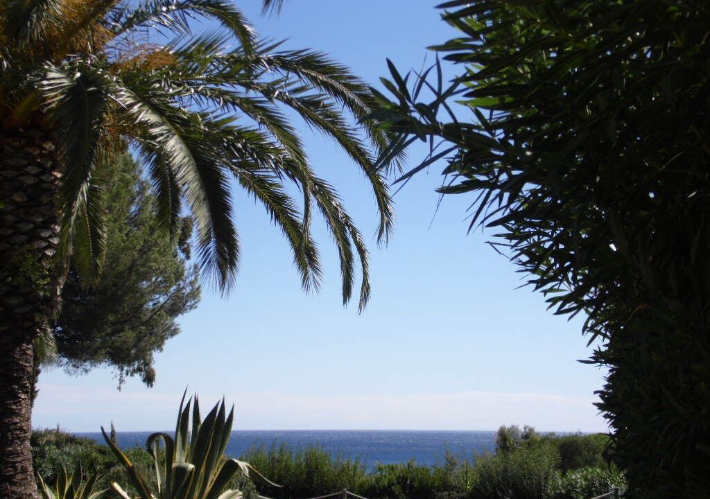 Photo of Outdoor in Cap Esterel