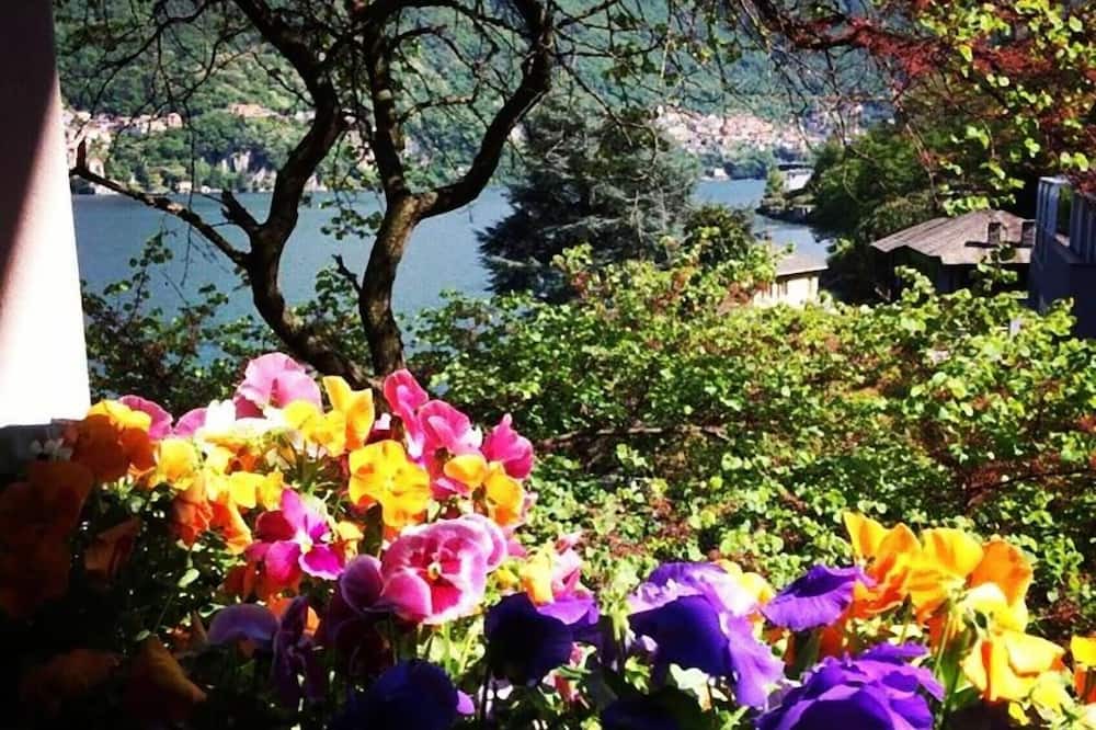 Photo of Outdoor in Brienno