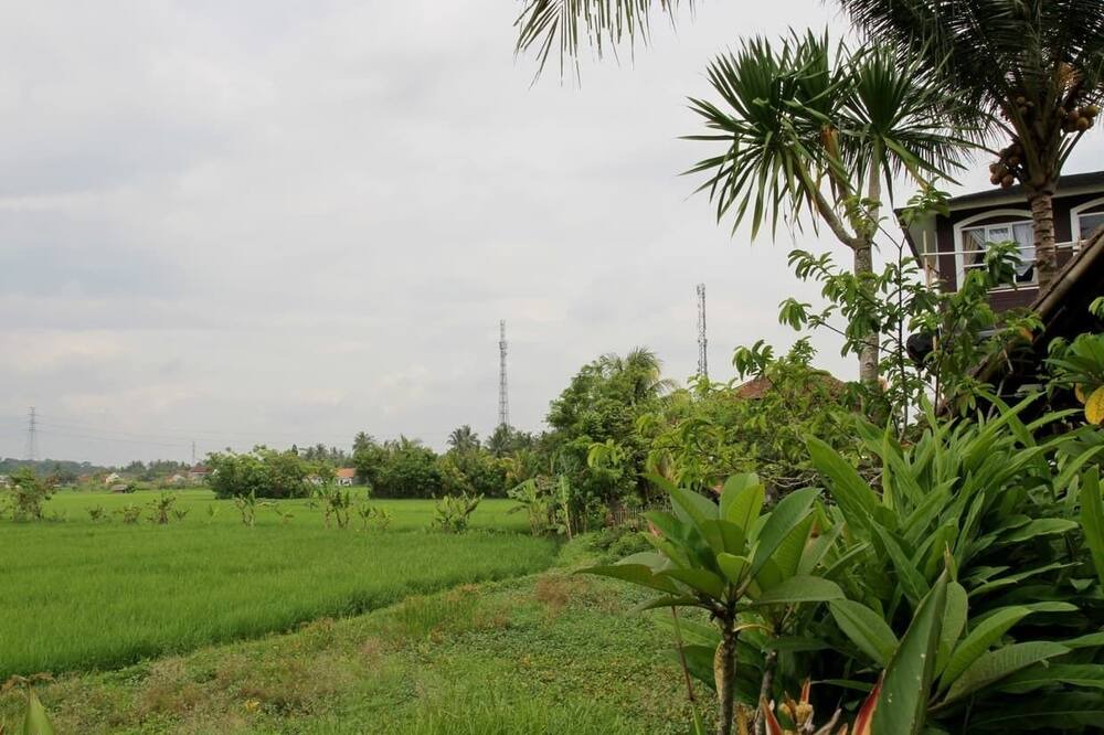 Photo of Outdoor in Rangkasbitung