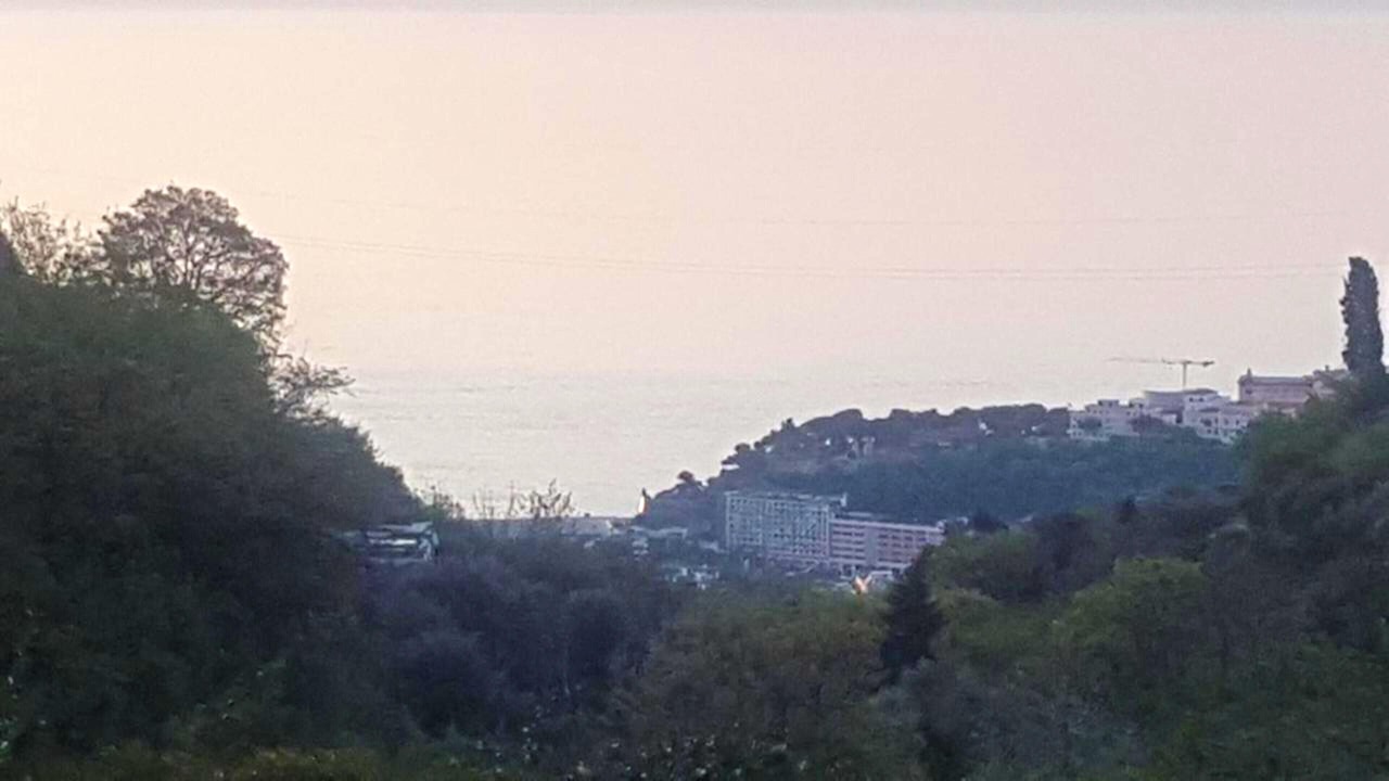 Photo of Others in La Turbie