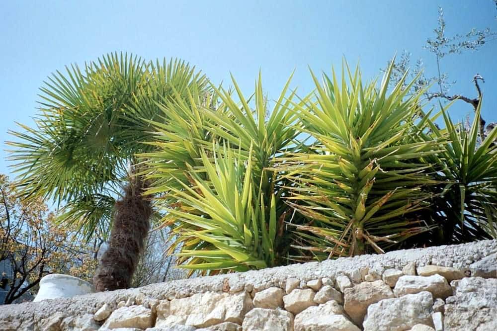Photo of Outdoor in Magagnosc