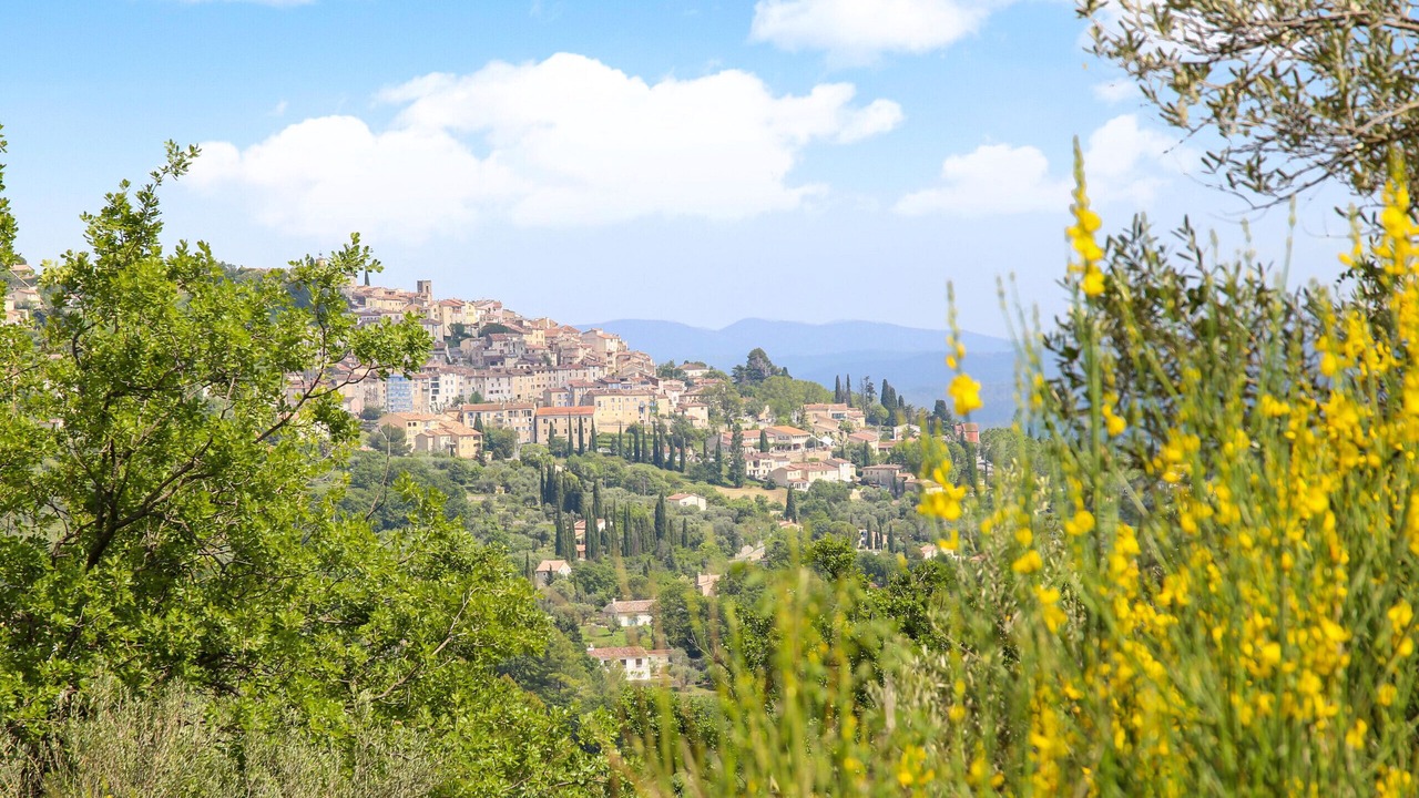 Photo of Outdoor in Fayence