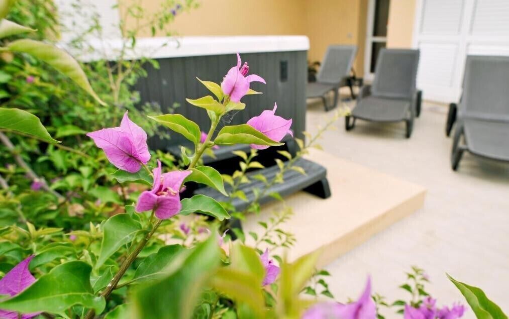 Photo of Patio Balcony in Lido di Camaiore