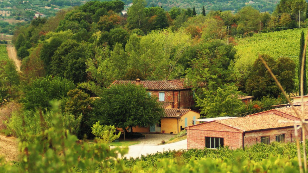 Photo of Outdoor in Foiano della Chiana